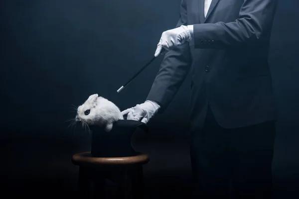 Vista cortada do mágico mostrando truque com varinha e coelho branco em chapéu, no quarto escuro com fumaça — Fotografia de Stock