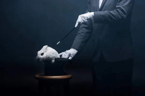 Cropped view of magician showing trick with wand and white rabbit in hat, in dark room with smoke — Stock Photo