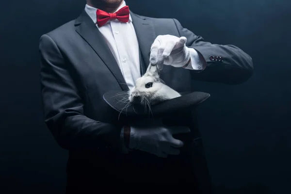 Cropped view of professional magician showing trick with white rabbit in hat, in dark room with smoke — Stock Photo