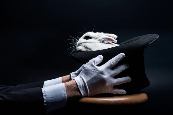 Cropped view of magician in gloves holding hat with white rabbit, in dark room — Stock Photo