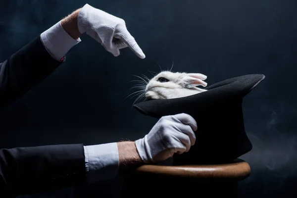 Cropped view of magician in gloves pointing at white rabbit in hat, in dark room with smoke — Stock Photo
