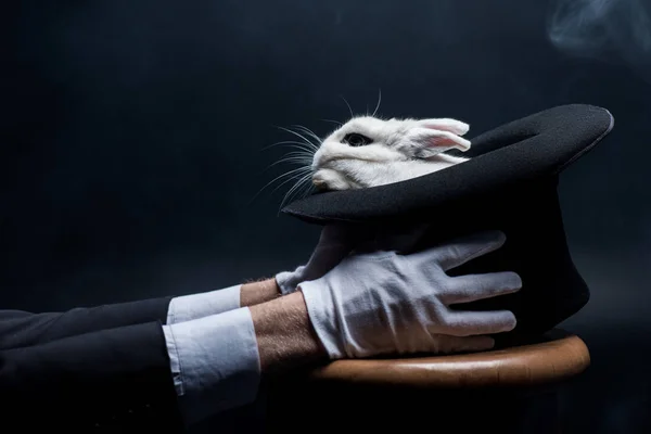 Cropped view of magician in gloves holding hat with white rabbit, in dark room with smoke — Stock Photo