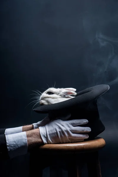 Partial view of magician in white gloves holding hat with rabbit, in dark room with smoke — Stock Photo