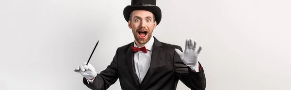 Panoramic shot of excited magician in suit and hat holding wand, isolated on grey — Stock Photo
