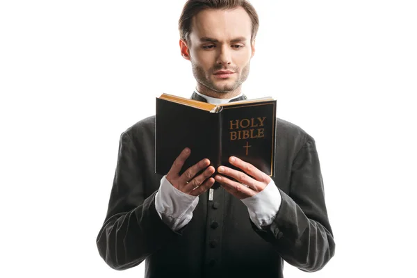 Serious, concentrated catholic priest reading holy bible isolated on white — Stock Photo