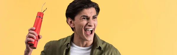 Panoramic shot of aggressive young man shouting and holding dynamite sticks, isolated on yellow — Stock Photo