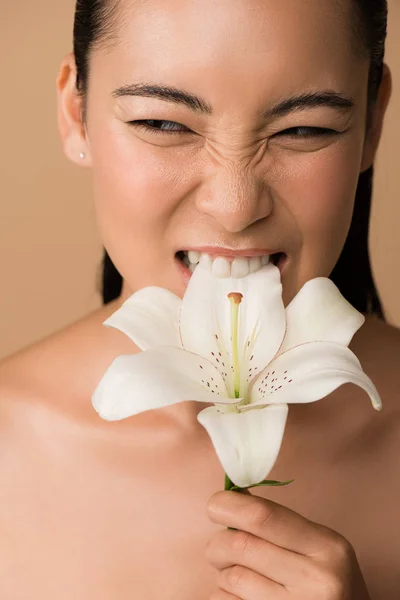 Hermosa desnudo asiático chica mordiendo blanco lirio aislado en beige - foto de stock