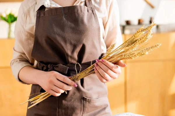 Cropped view of woman in apron holding wheat in hands — Stock Photo