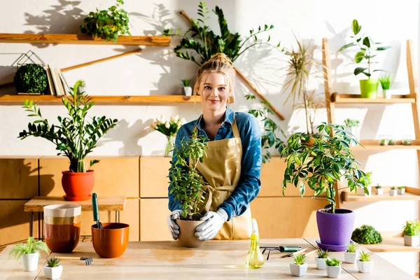 Счастливая девушка в фартуке и перчатках, улыбающаяся возле зеленых растений — стоковое фото
