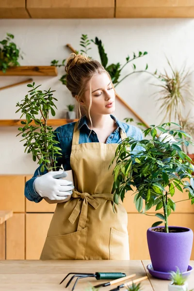 Beautiful woman in apron holding flowerpots with plants — Stock Photo