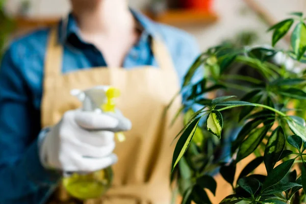 Vue recadrée de fille tenant bouteille de pulvérisation près de feuilles vertes — Photo de stock