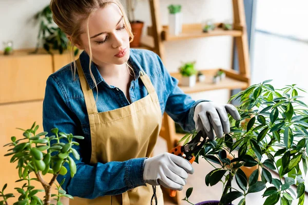 Beautiful woman in gloves cutting green leaves with gardening scissors — Stock Photo