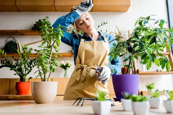 Selektiver Fokus einer müden jungen Frau in Handschuhen, die Stirn berührt, während sie eine Gartenschere in der Nähe von Pflanzen hält — Stockfoto