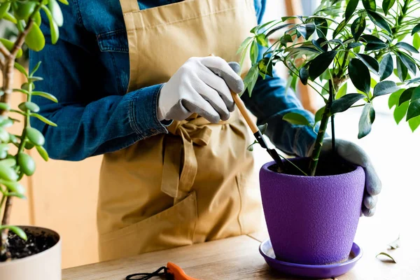 Vista ritagliata di giovane donna in guanti che tiene rastrello vicino alla pianta in vaso da fiori — Foto stock