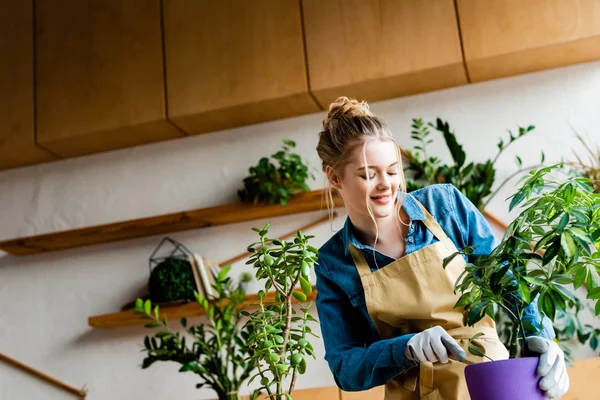 Happy woman in gloves transplanting plant in flowerpot — Stock Photo