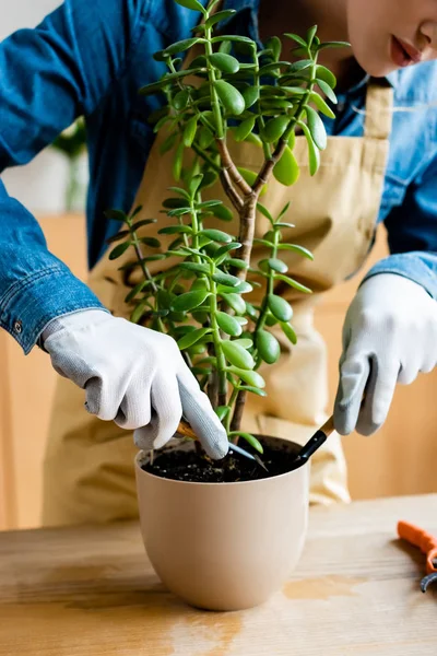 Ausgeschnittene Ansicht einer jungen Frau in Handschuhen, die kleine Schaufel und Harke hält, während sie Pflanzen pflanzt — Stockfoto