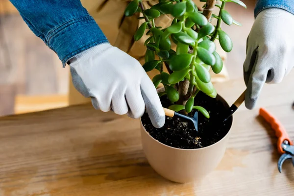 Cropped view of woman in gloves holding small shovel and rake while transplanting plant — Stock Photo