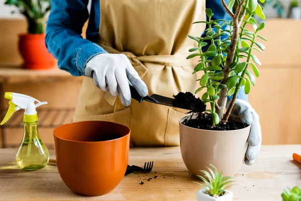 Vue recadrée de la fille dans des gants tenant petite pelle et râteau lors de la transplantation plante — Photo de stock