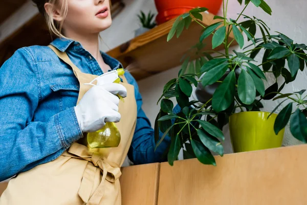 Cropped view of woman holding spray bottle near green plants — Stock Photo