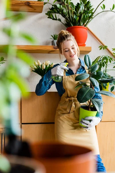 Foco seletivo da jovem mulher feliz segurando frasco de spray e planta verde — Fotografia de Stock