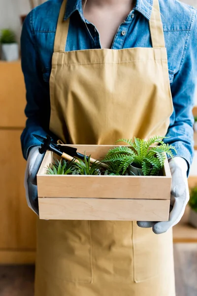 Vista recortada de niña en guantes sosteniendo caja de madera con plantas verdes y herramientas de jardinería - foto de stock