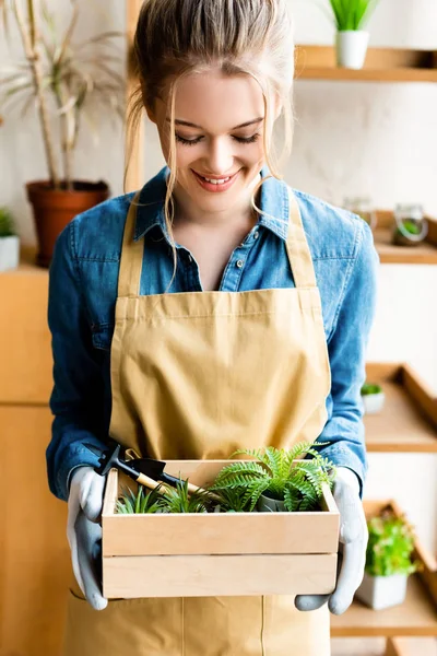 Femme heureuse dans des gants tenant boîte en bois avec des plantes vertes — Photo de stock