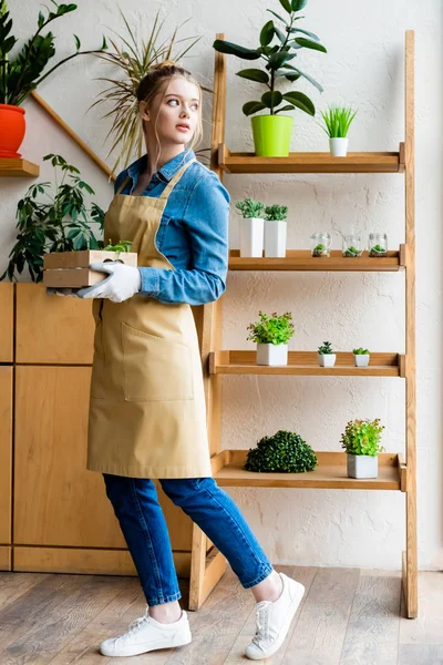 Attractive woman in gloves holding wooden box with green plants and looking away — Stock Photo