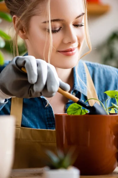 Foco seletivo da mulher feliz em luvas segurando pequena pá durante o transplante de planta em vaso — Fotografia de Stock