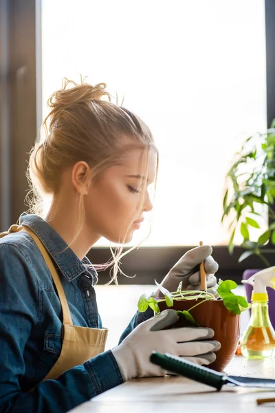 Side view of girl in gloves transplanting plant in flowerpot — Stock Photo