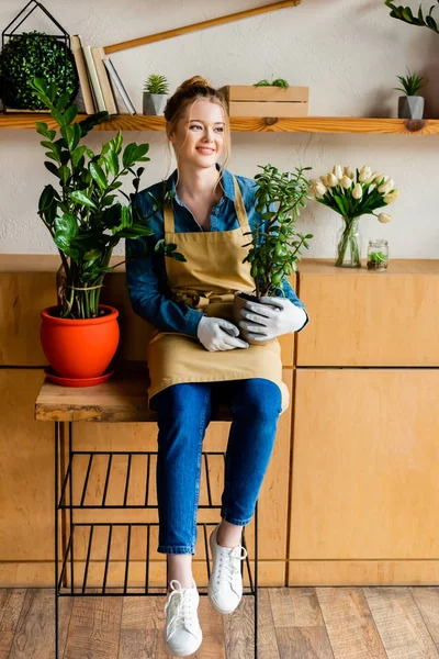 Alegre joven en delantal sosteniendo planta verde - foto de stock