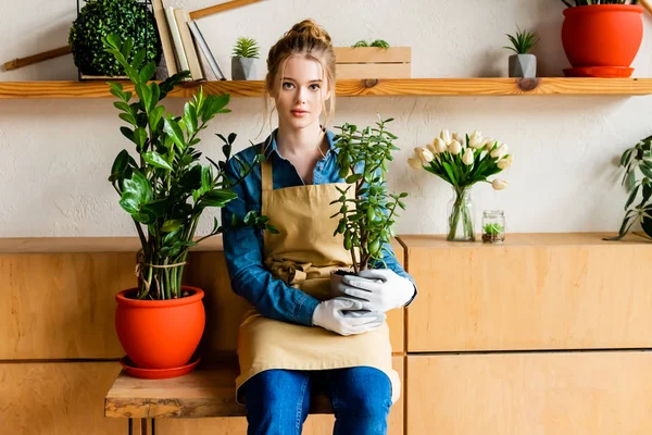 Attractive young woman in apron holding green plant — Stock Photo