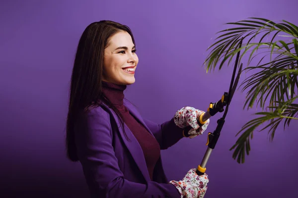 Щаслива молода жінка посміхається під час різання рослини з садівничими ножицями на фіолетовому фоні — стокове фото