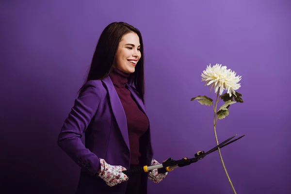 Cheerful girl in textile gloves cutting chrysanthemum with gardening scissors on purple background — Stock Photo