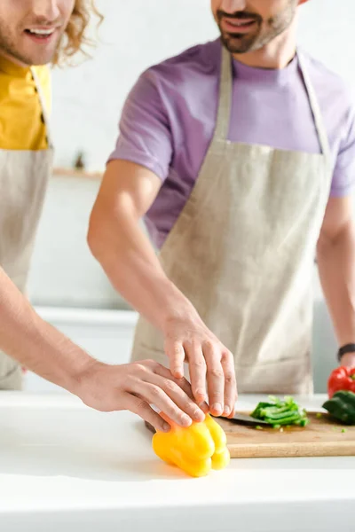 Vista recortada de hombres homosexuales cocinando en casa - foto de stock