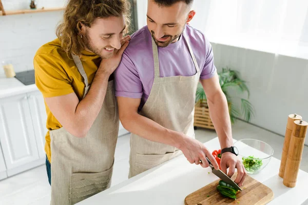 Alegres hombres homosexuales cocinando en casa - foto de stock