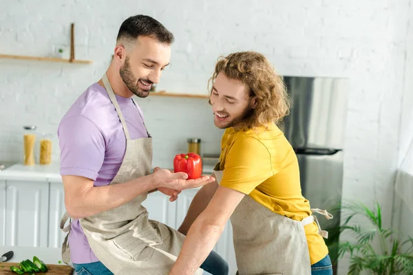 Happy homosexual men looking at red bell pepper — Stock Photo