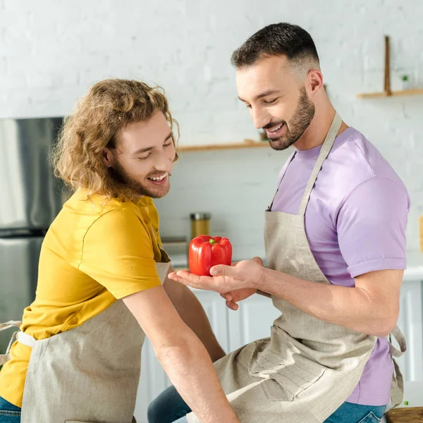 Cheerful homosexual men looking at red bell pepper — Stock Photo