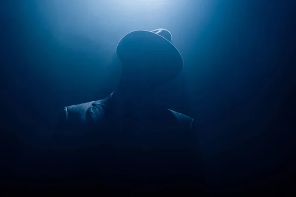 Silhouette of dangerous gangster in suit and felt hat on dark background — Stock Photo