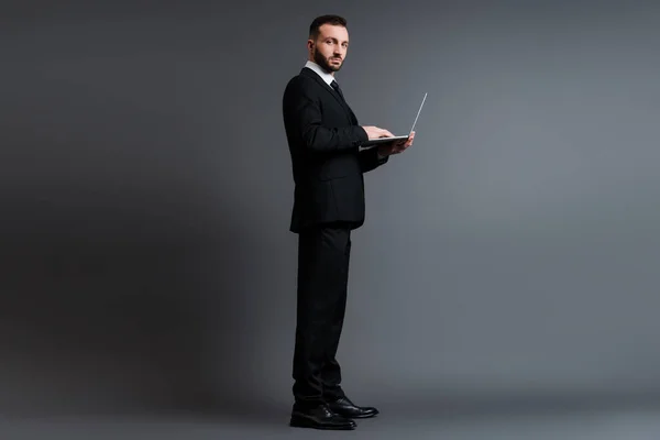 Hombre de negocios guapo en traje usando el ordenador portátil en gris - foto de stock