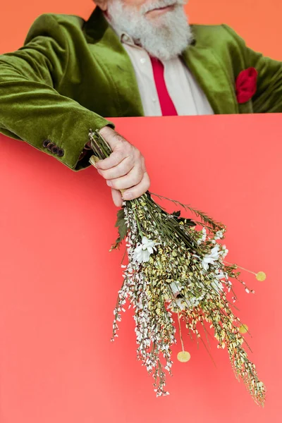 Vista ritagliata di elegante uomo anziano che tiene bouquet di fiori selvatici isolati su corallo — Foto stock