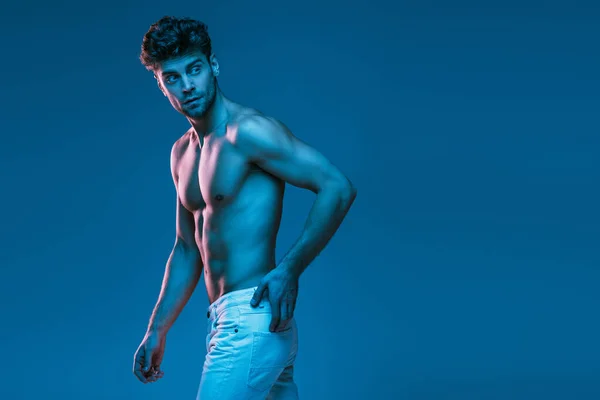 Уверенный, сексуальный мужчина в белых джинсах оглядываясь назад, идя изолированным на синий — стоковое фото