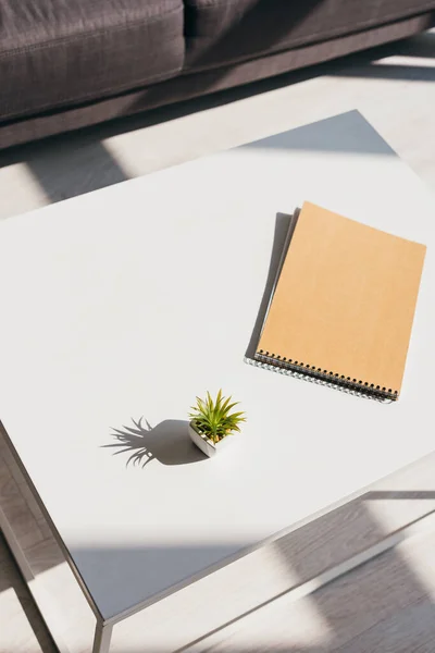 Notepad and house plant on table in sunlight — Stock Photo