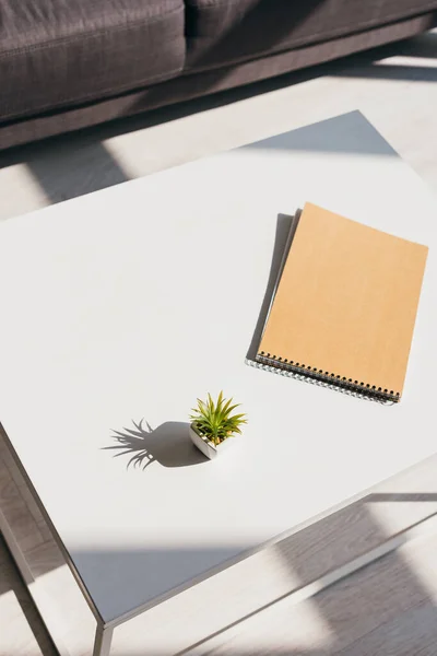 Bloc de notas y planta de la casa en la mesa a la luz del sol - foto de stock