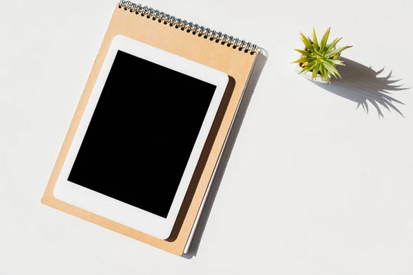 Top view of notepad, succulent and digital tablet with blank screen — Stock Photo