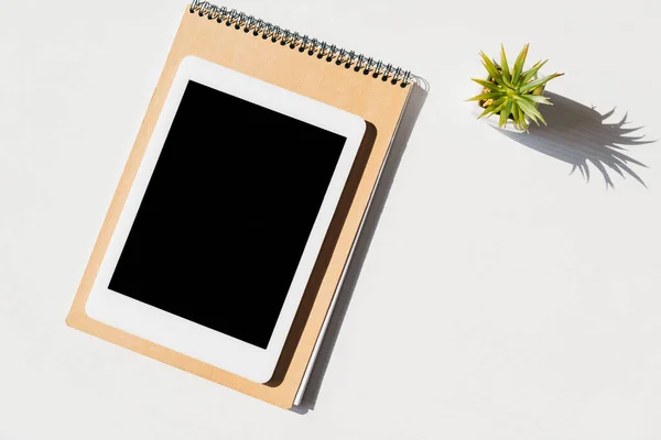 Vista dall'alto di blocco note, tablet succulento e digitale con schermo vuoto — Foto stock