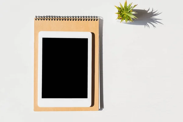 Top view of notepad, house plant and digital tablet with blank screen — Stock Photo