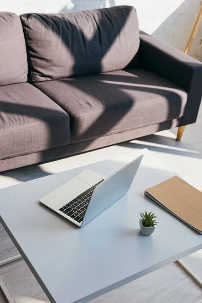 Wohnzimmer mit grauem Sofa und Tisch mit Laptop, Notizblock und Sukkulente im Sonnenlicht — Stockfoto