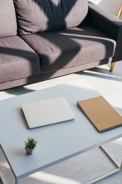 Sofá gris y mesa con portátil, bloc de notas y planta de la casa a la luz del sol - foto de stock