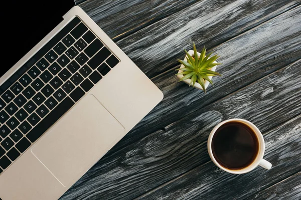 Vista superior de la computadora portátil, planta de la casa y taza de café en la superficie de madera oscura - foto de stock