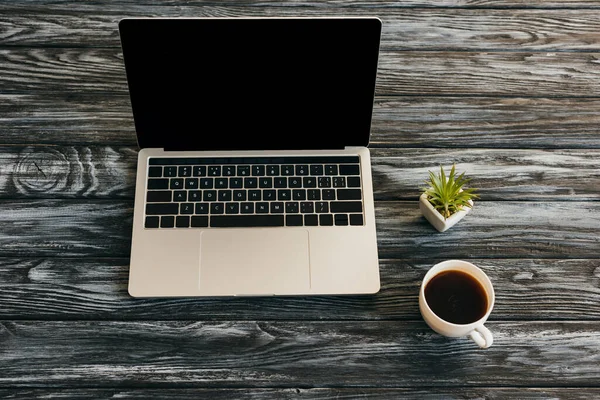 Taza de café, planta de la casa y el ordenador portátil con pantalla en blanco en la superficie de madera oscura - foto de stock